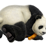 panda-sigtutorials